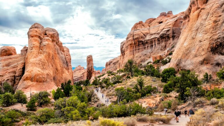Explore the Best National Parks in the USA
