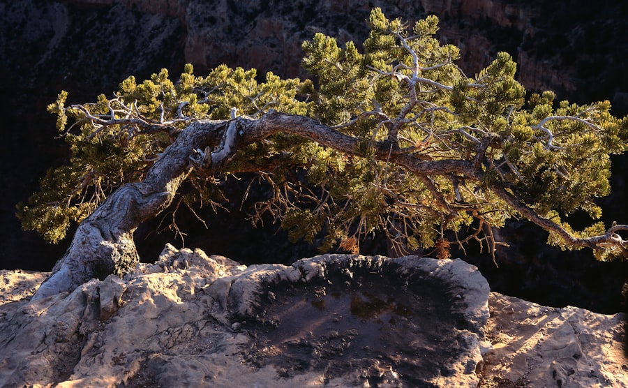 Hidden Canyons Arizona