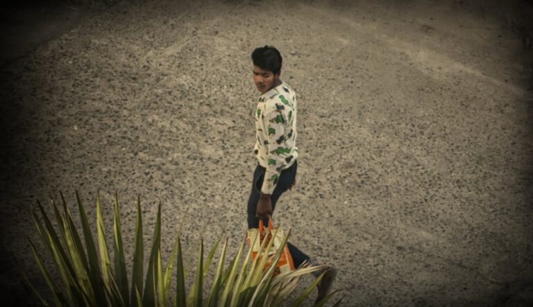 Creating a Sustainable Daily Walking Routine