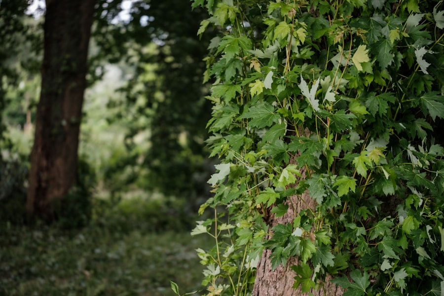 Photo Tail Risk Hedging