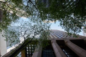 Unlocking True Returns: Analyzing Hedge Fund Fees