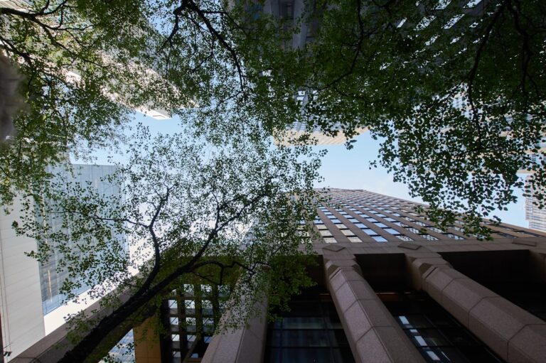 Unlocking True Returns: Analyzing Hedge Fund Fees