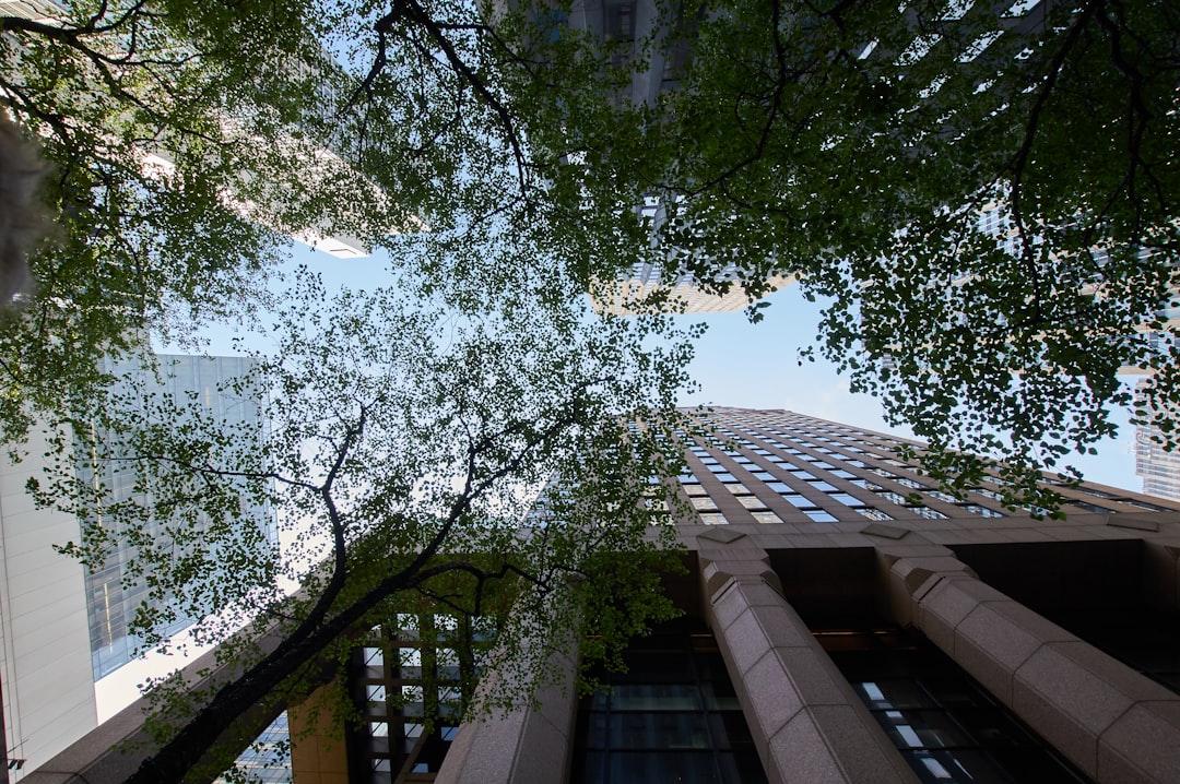 Photo Hedge Fund Fee Structures