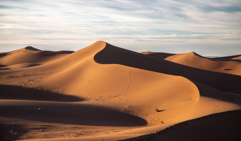Discovering Wadi Rum’s Desert Beauty
