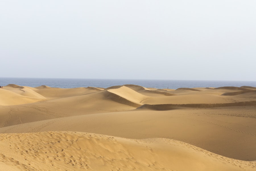 Photo Desert Landscapes