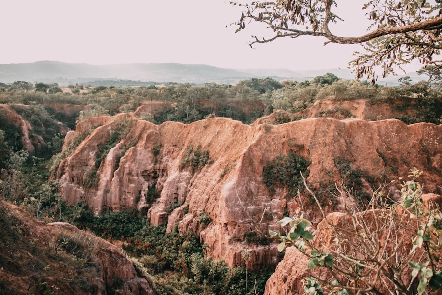 Photo Desert Landscapes