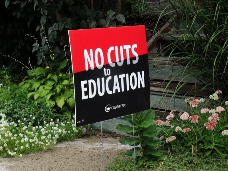 The Impact of Education Choices on Career Delays