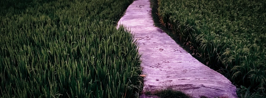 Photo Track Micronutrients